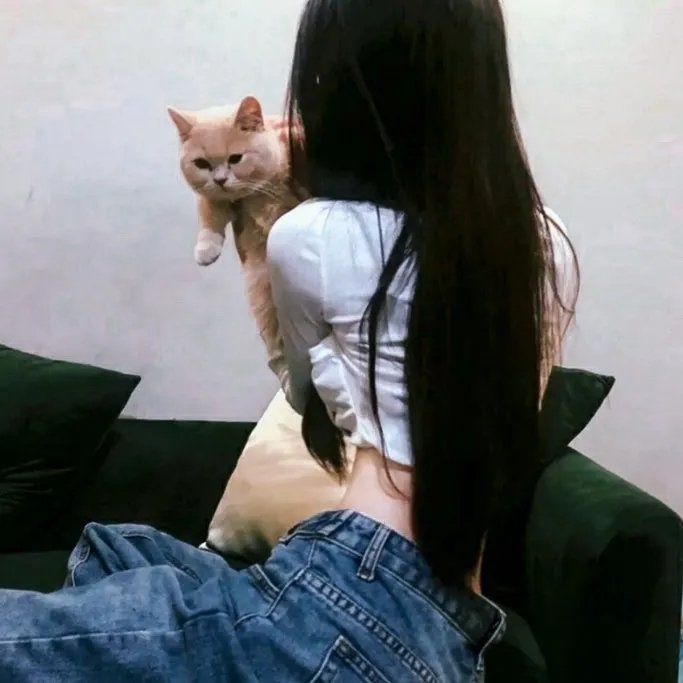 尸速僵尸